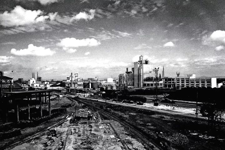 越青是什么星座,白桥是什么星座