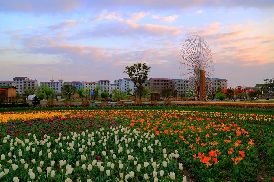 义乌最美的风景区是哪,义乌的风景有哪些