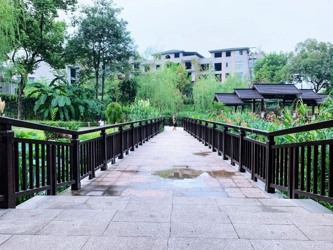 沙坪坝有哪些免费公园,沙坪坝公园推荐