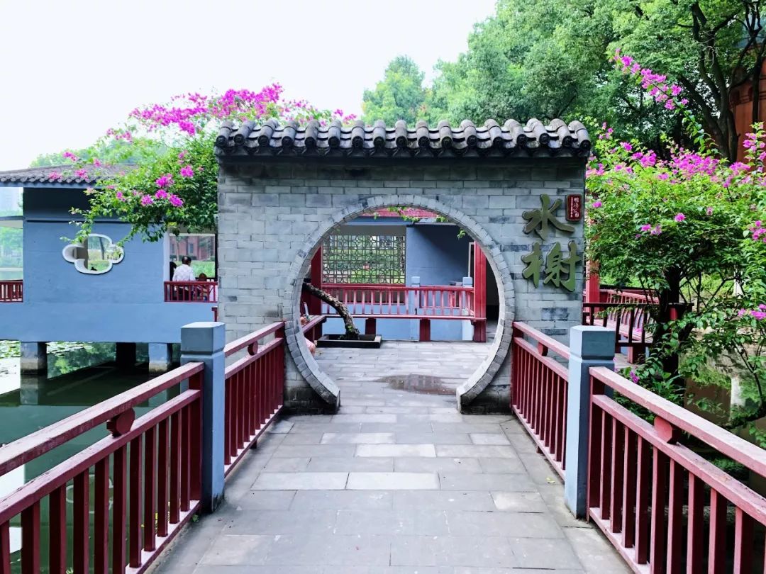 沙坪坝有哪些免费公园,沙坪坝公园推荐