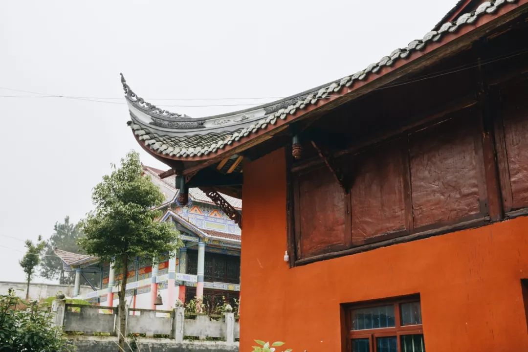 周末陪家人游大自然,周末陪家人到郊外游玩