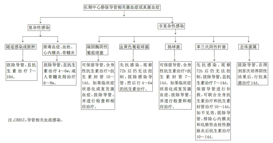 血液透析患者发生导管血流相关感染，如何治疗？