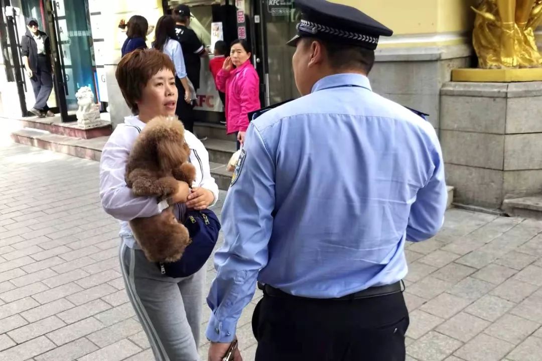 哈尔滨犬只管理中心电话,哈尔滨犬证能网上办理吗