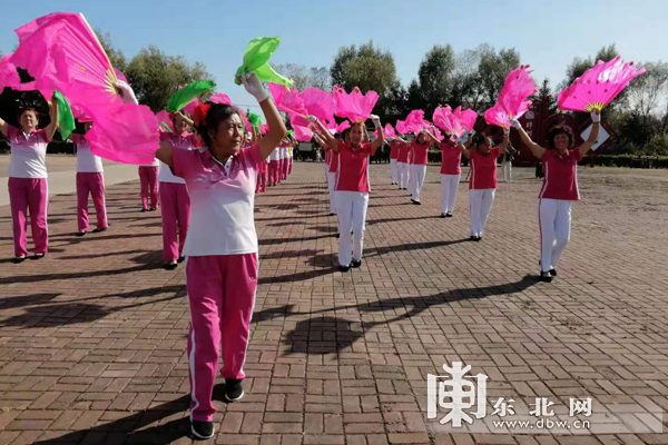 “丰收时节看发展”通河县桦树村：美丽乡村点点滴滴入画来