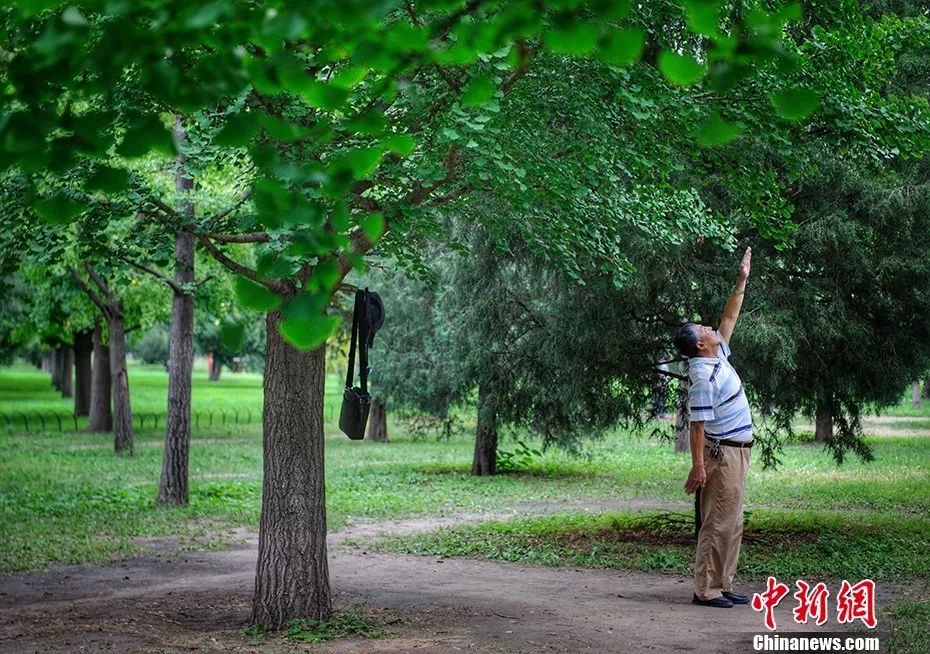 你大爷永远是你大爷的电影,你大爷永远是你大爷足球系列