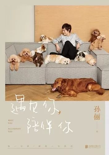 国内外宠物领养问题有哪些,很好的宠物为什么免费领养