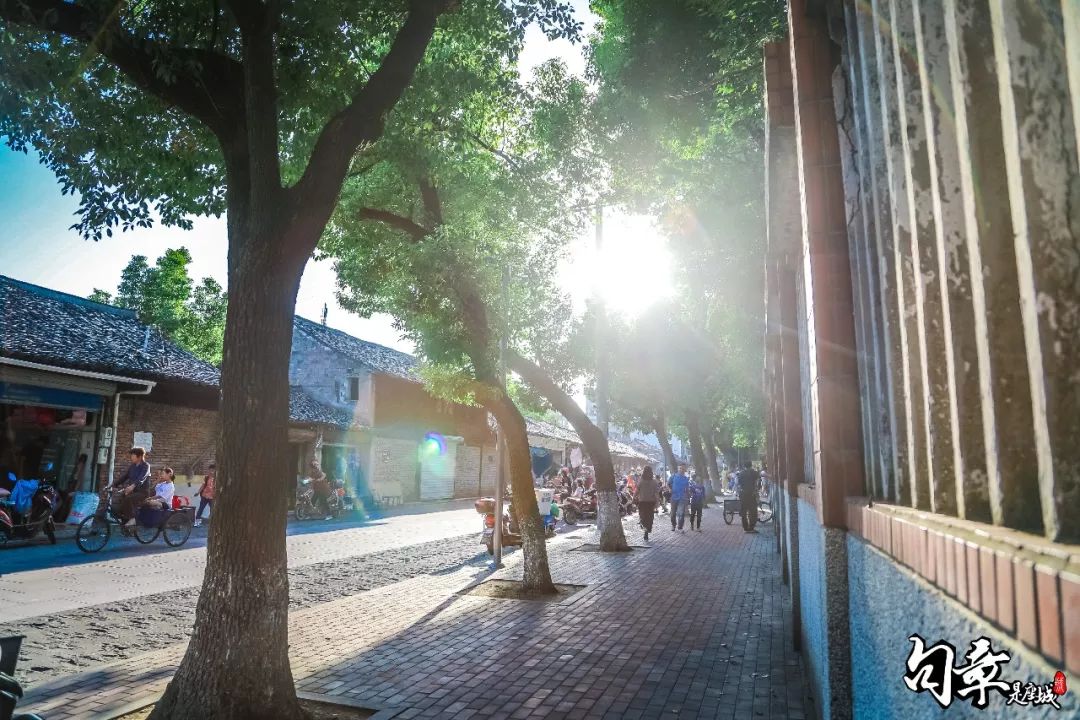 东横街老店的最后一天，我回到了中城小学