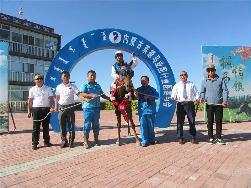 “鑫龙霸主”卫冕三连冠，“流星二号”四连称王