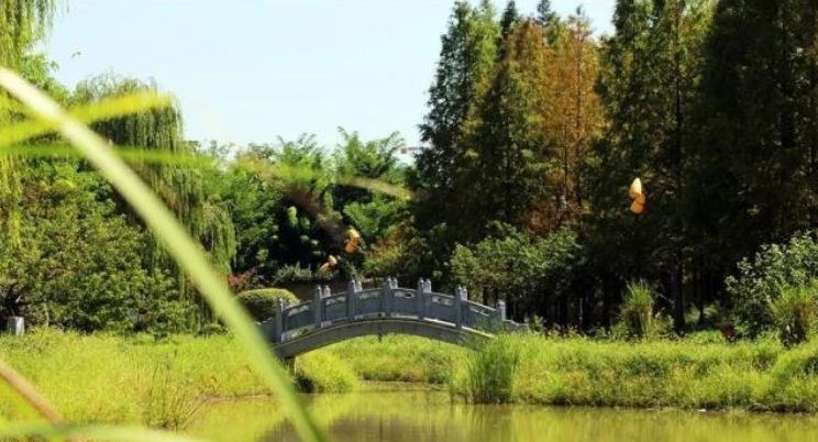 高铁新城给城市带来什么利好,禹州高铁新城有潜力吗