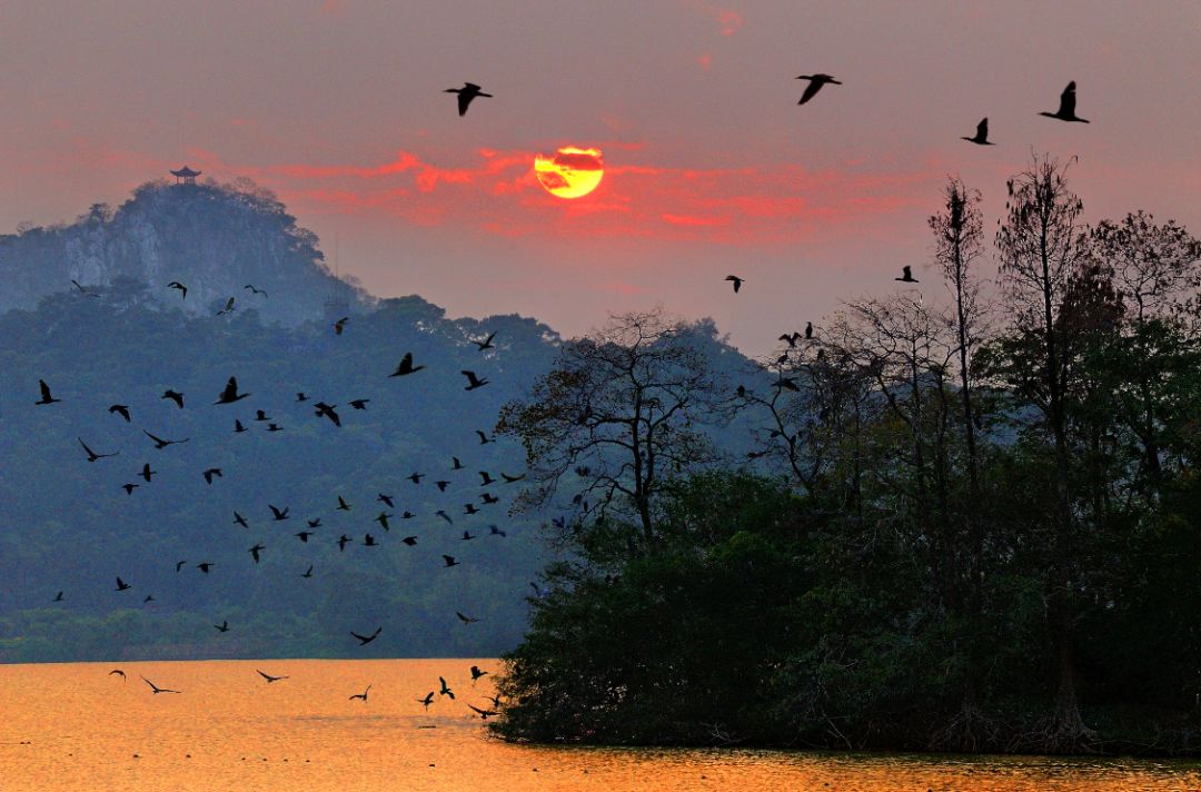 别再@微信官方,十一黄金周,肇庆鼎湖山、七星岩景区七重福利送给你!