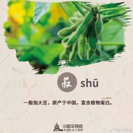 秋分节气是中国的农民丰收节,中国农民丰收节秋分2022年