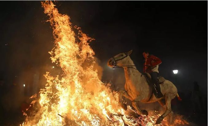赛马节有什么玩,世界赛马比赛最有名的