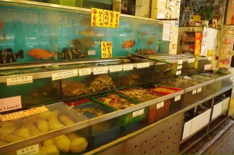 为了泳滩,遇上稔子和山日