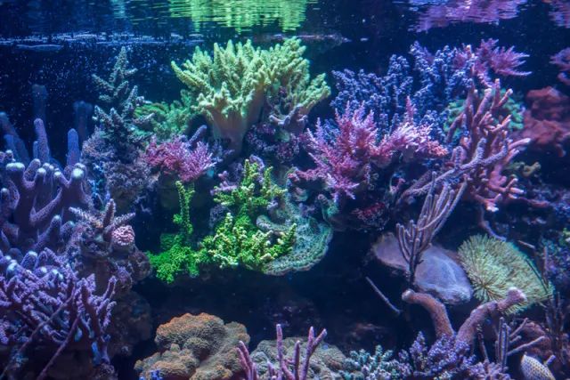 sps哪家更实用,sps怎么操作