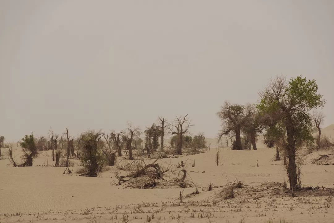 选好出行路线,选日期出行