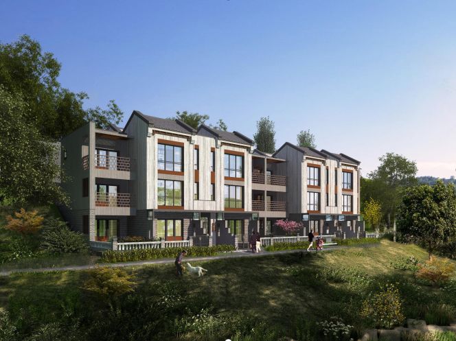 鎵垮痉鍏撮殕娓╂硥搴峰吇鍏瘬,鎵垮痉搴﹀亣鍏瘬