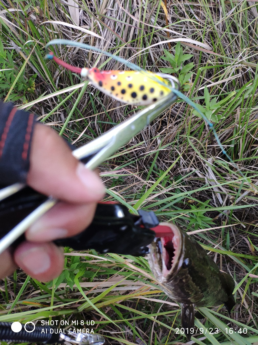 打黑上鱼教程,打黑鱼对轮的要求