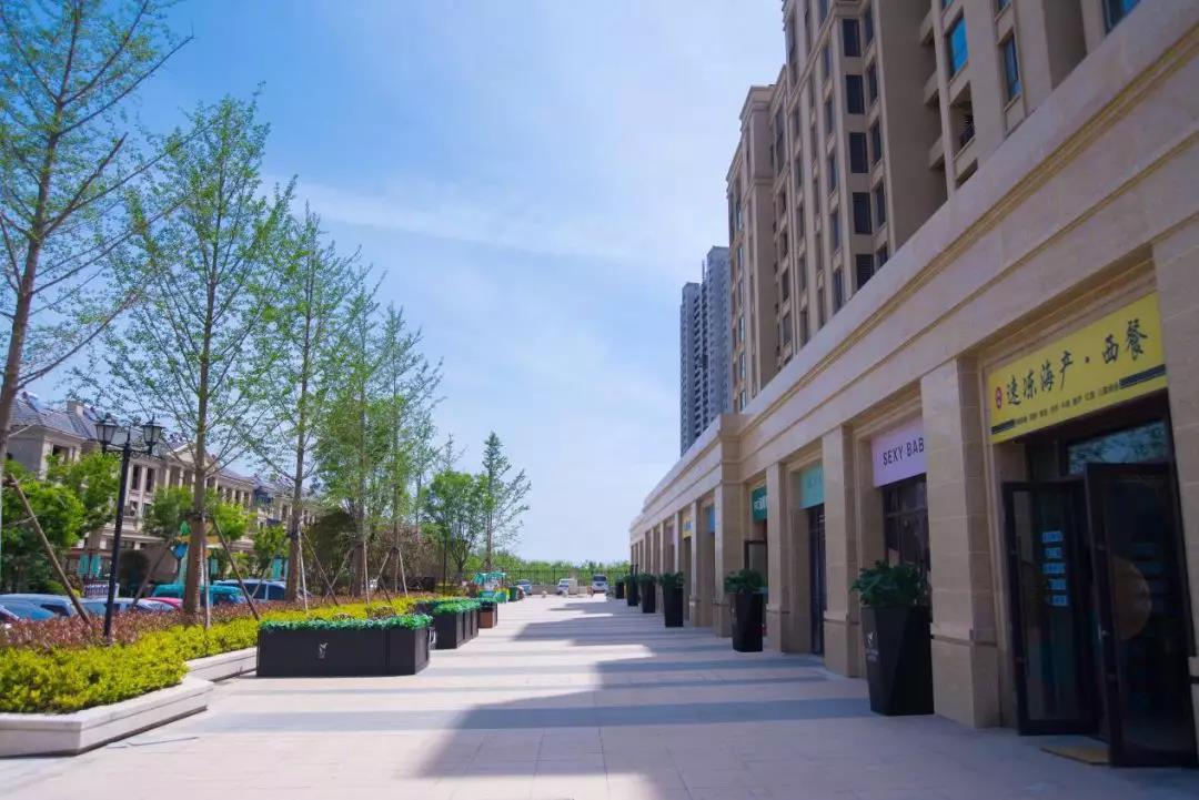 白鹭金岸新商铺,白鹭金岸6万平商业