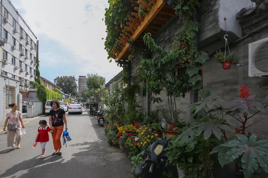 今年全市739条背街小巷花团锦簇（下）