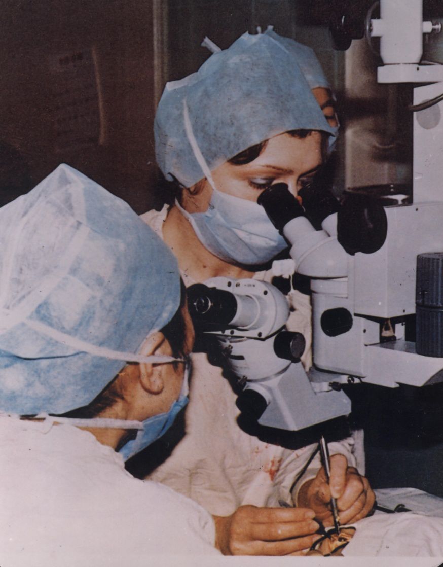 我和我的祖国追梦,我和我的祖国一起努力