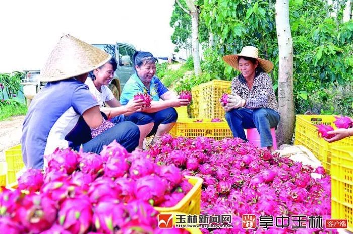 壮丽七十年奋力谱新篇,玉林奋进新征程