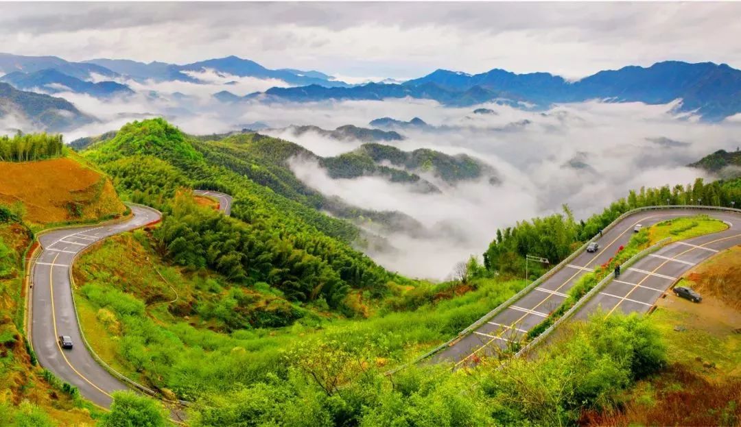 盛世如愿缅怀先烈|来浙里办文旅专区寻一条红色旅游线路，出发！