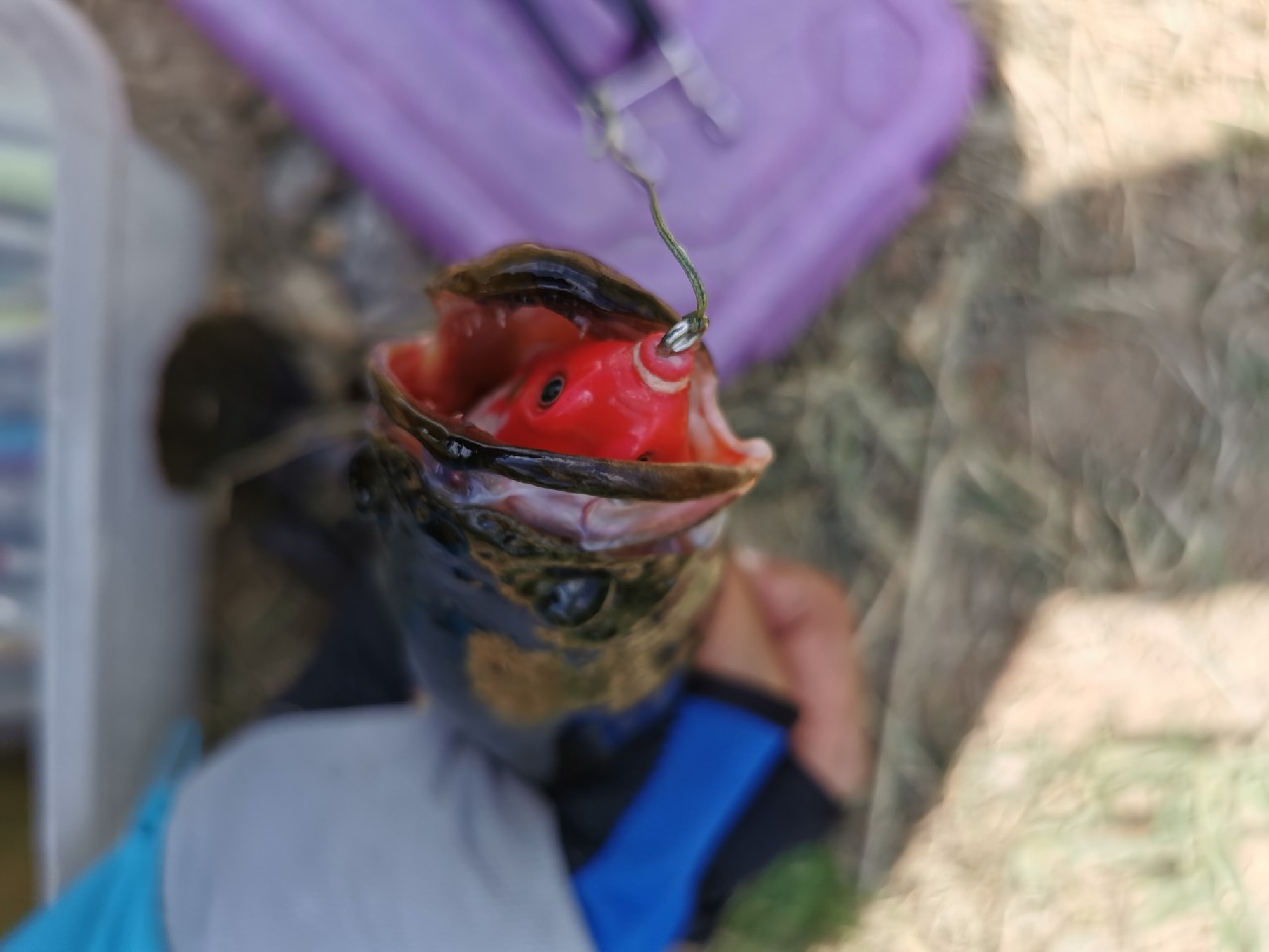 断裂路亚竿修复,折断的路亚鱼竿怎么修复