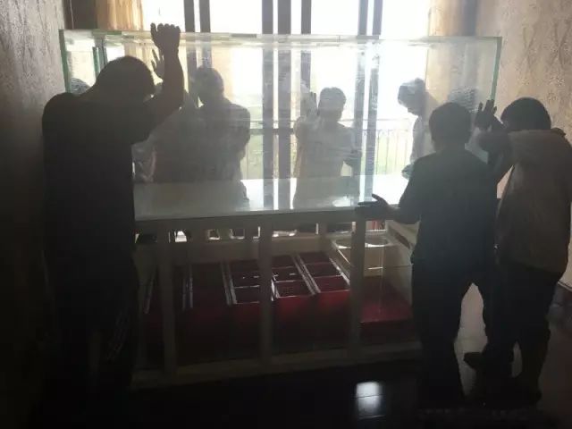 fot多大缸,fot高缸