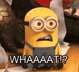 东海海鳌虾与新西兰鳌虾口感区别,莫桑比克鳌虾和挪威鳌虾