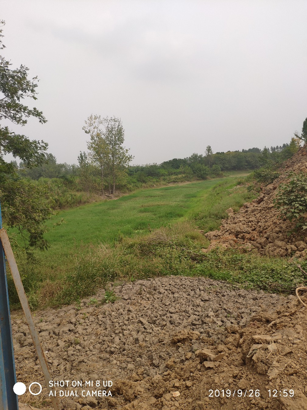 提高路亚中鱼率,打黑用什么假饵中鱼率高