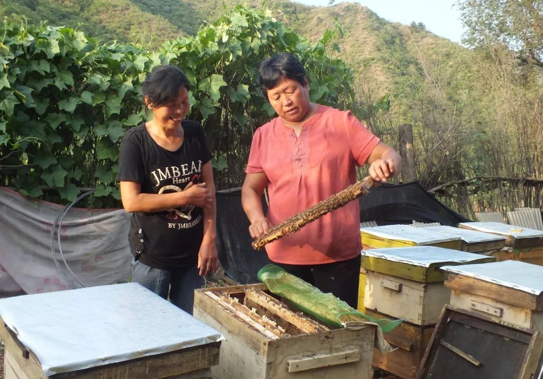 992濂界墿鎺ㄨ崘,鏂板搧992