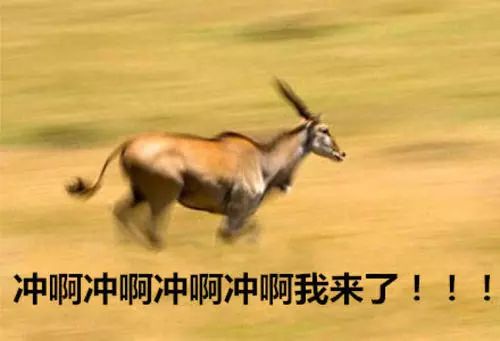 「ECCFC」这群人疯了！不但教我怎么致富，还硬要给我塞礼物