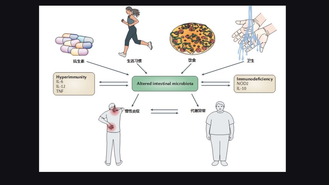 李宁奋斗历程英文版,李宁夜以继日