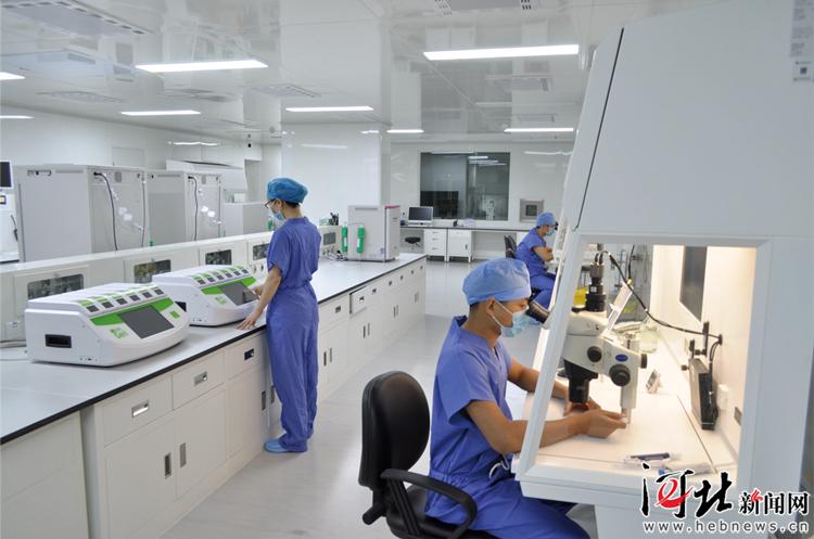 打造宜居健康城市,新时代一核五区规划