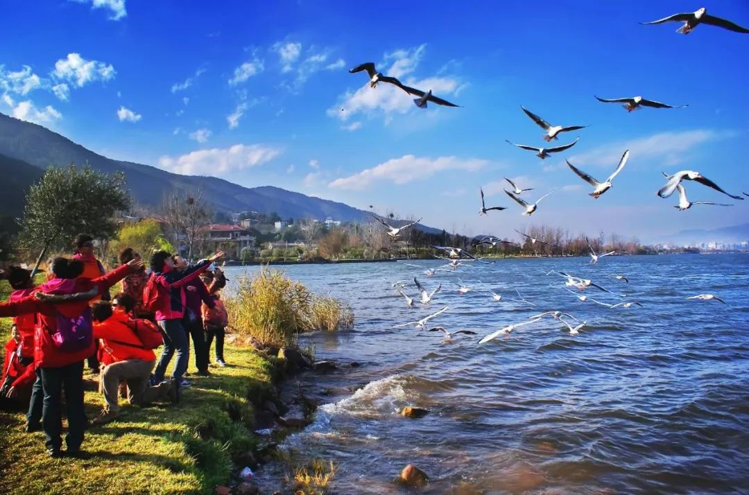 美得不用滤镜!带你邂逅“一个春天的城市”,一辈子一定要去一次