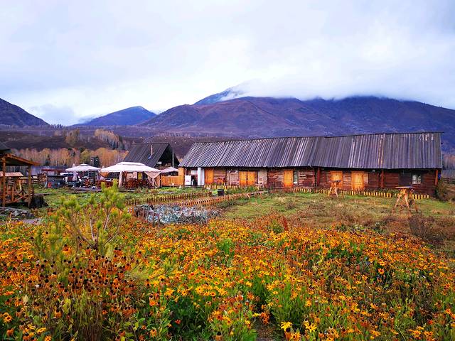 走过了圣城拉萨，这次让我们出使西域——*疆新**，一个来了之后会上瘾的地方