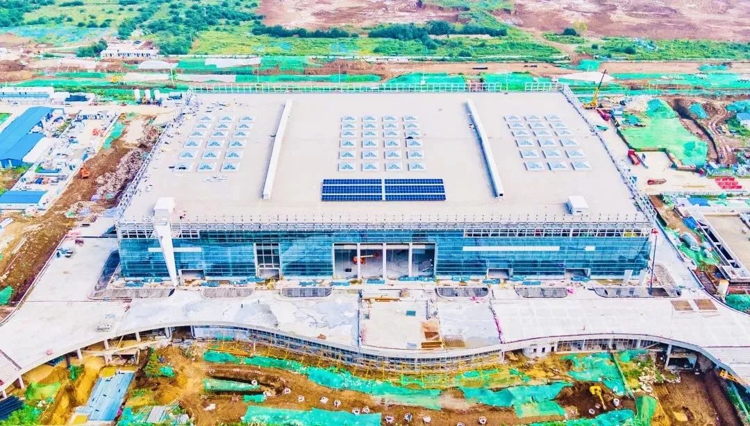 第十四届全运会会歌,第十四届全运会会歌演唱