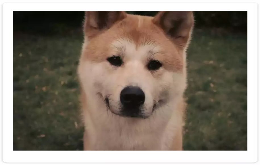 十个最催人泪下的电影台词,十部顶级经典台词电影