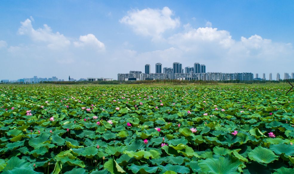 武汉军运村变化,武汉军运村对市民开放的日子