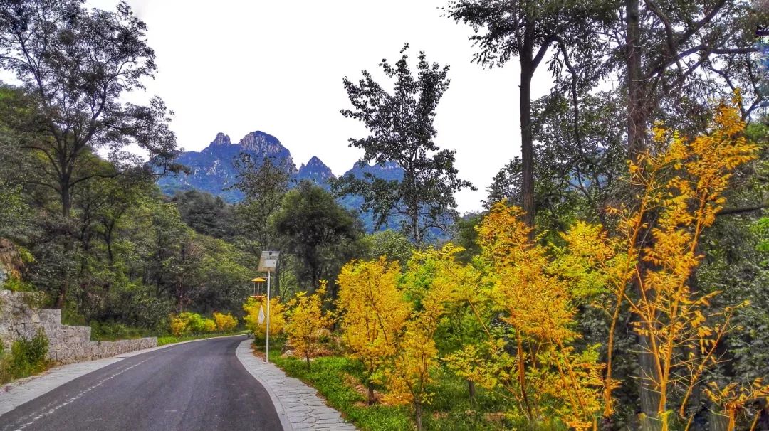 蓬莱夏天的海边,带你领略蓬莱好风景