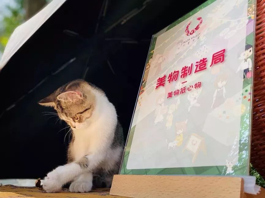 不输京都的乘船入户体验，15000m²水边村落刷新江浙沪度假体验，错峰直降千元