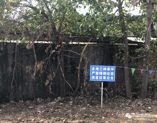 红叶花园洋房违建,红叶花园一区的房子怎么样