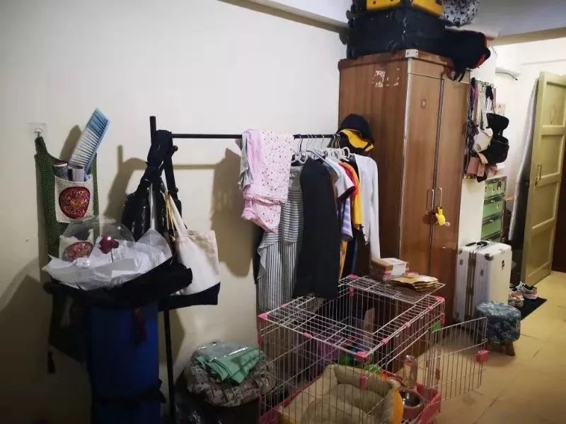 厦门最新租房1000元以下,厦门曾厝埯附近哪里租房比较便宜