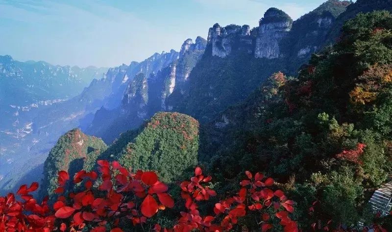 宜昌看红叶最佳地点,宜昌红叶最佳地点