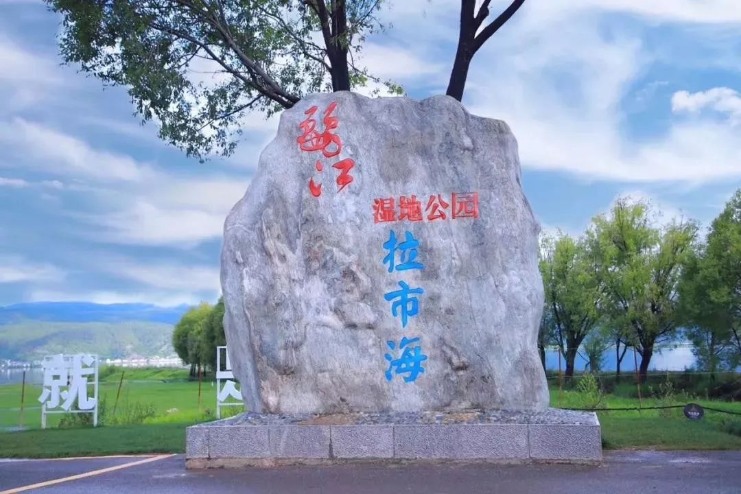 拉市海候鸟湿地公园在哪里,拉市海湿地公园和归来公社