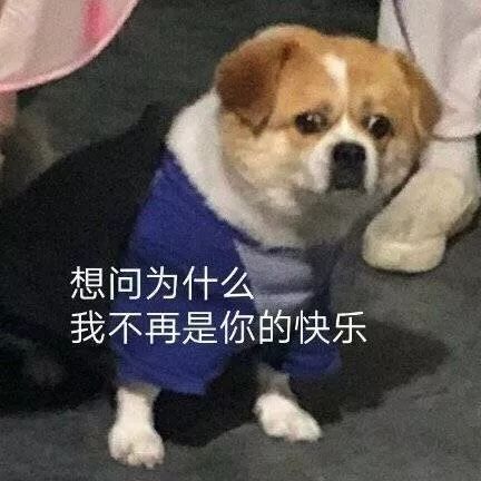 长了十年痘痘病根是什么,长了十几年的痘痘怎么治