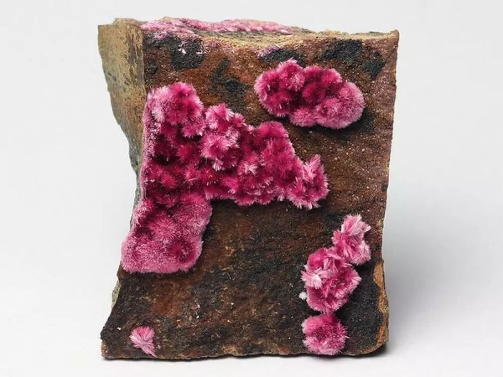 谁还不是个小可爱呢下一句,谁还不是小可爱