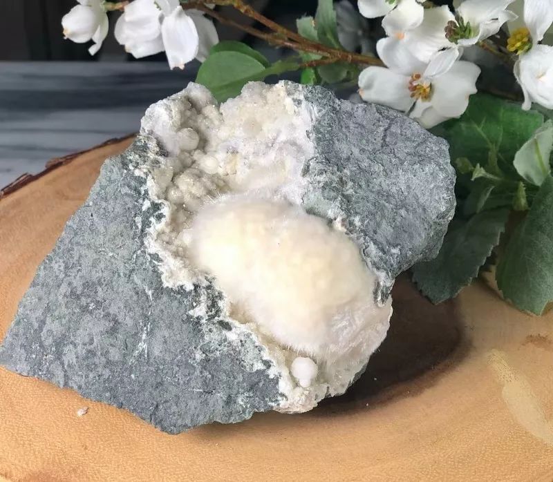 谁还不是个小可爱文案,谁小时候还不是个小可爱