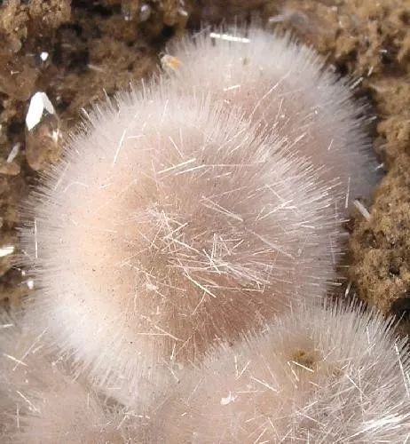 谁还不是个小可爱文案,谁小时候还不是个小可爱