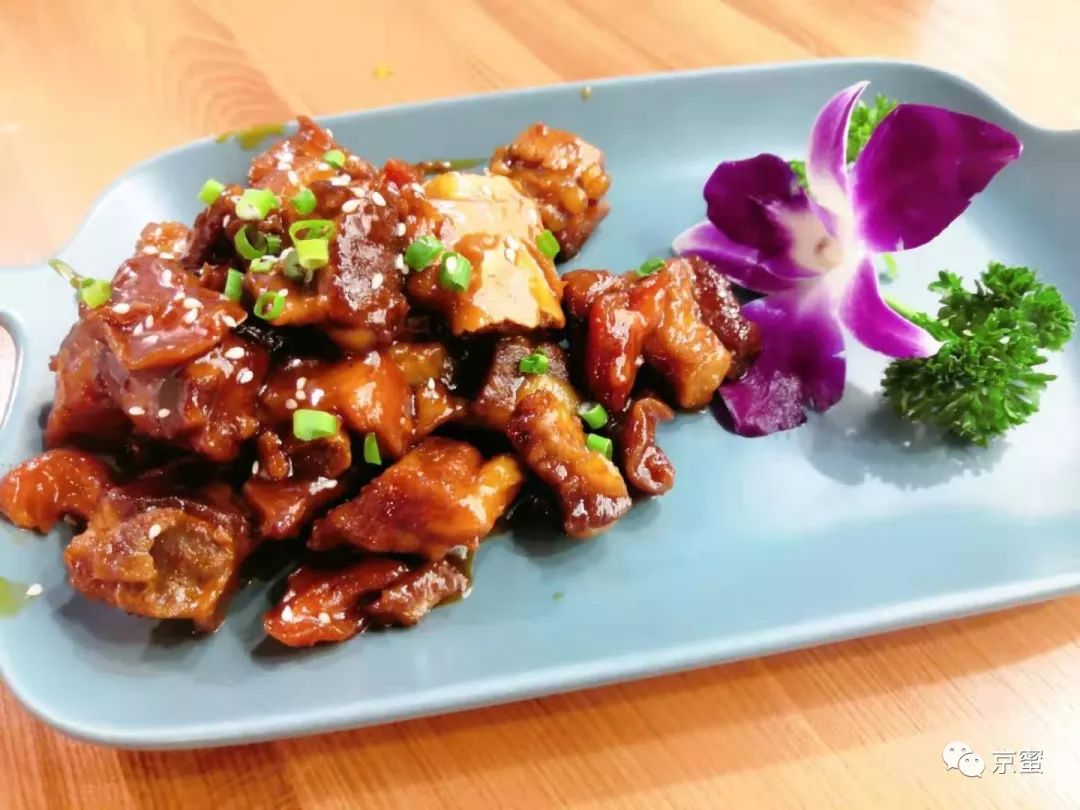 北京大型撸猫馆推荐,三里屯撸猫的地方